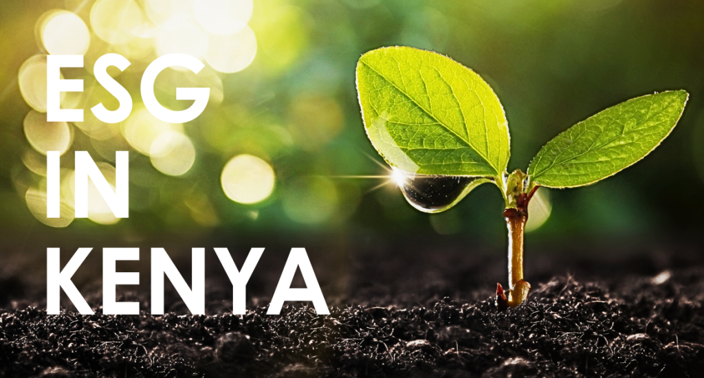 ESG reporting in Kenya